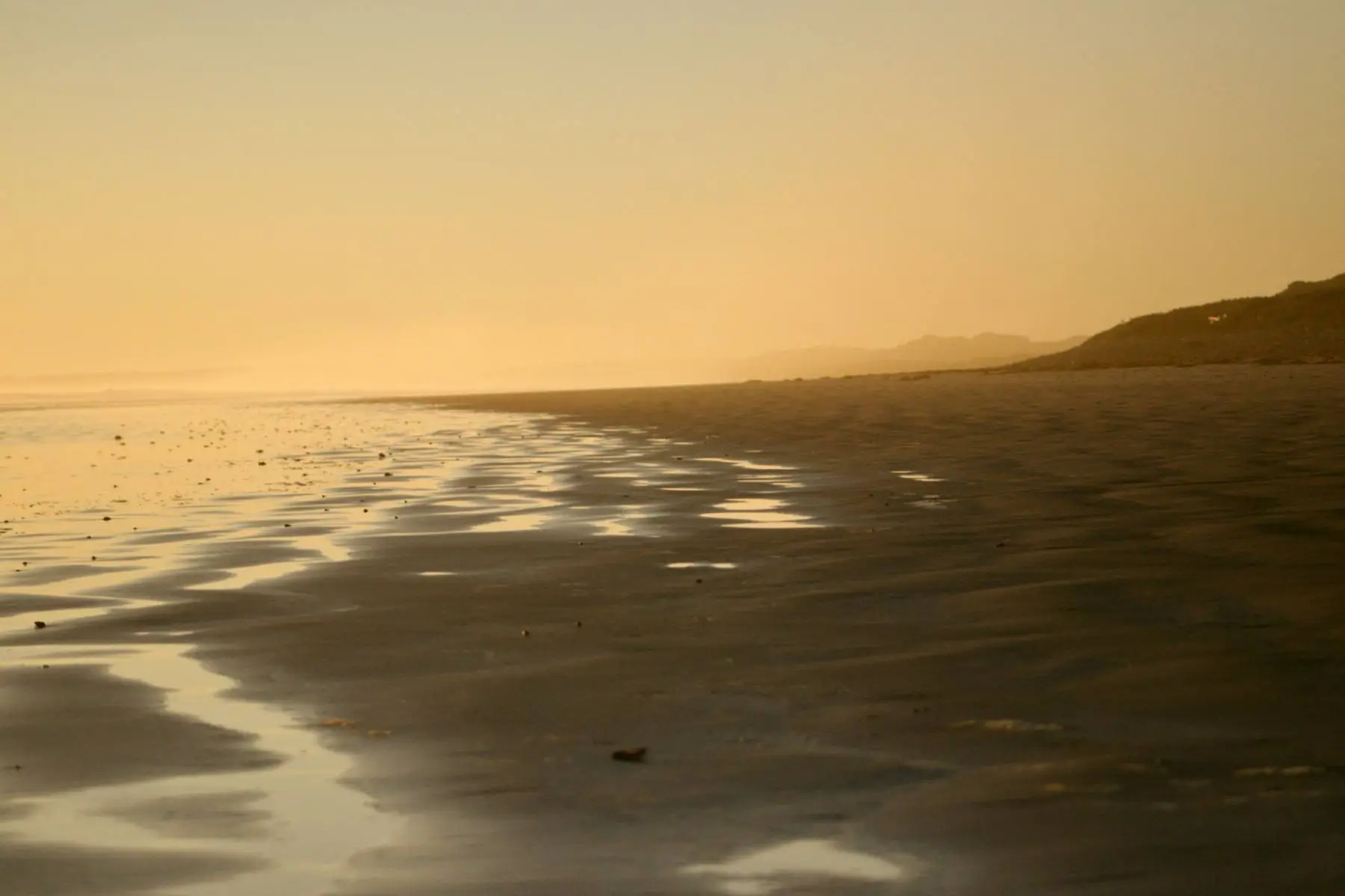 Coastal light